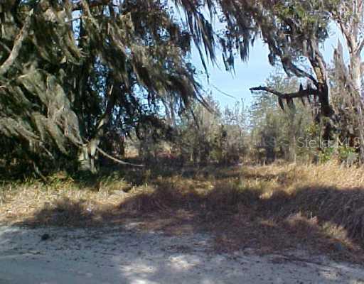 Land/Lot