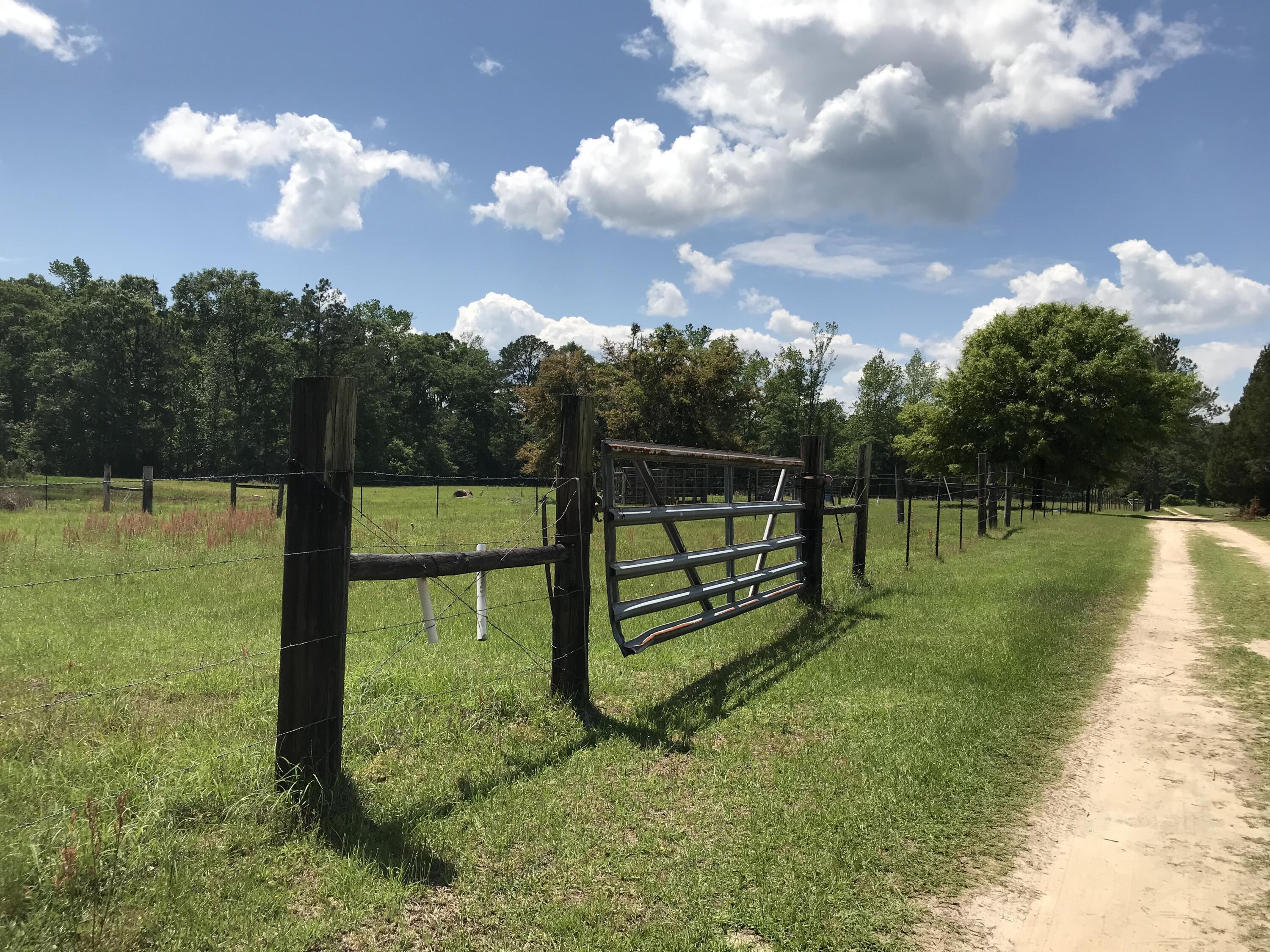 1603 Bethlehem Church Road Bonifay, FL 32425 - Photo 46 of 52 Driveway/Pasture
