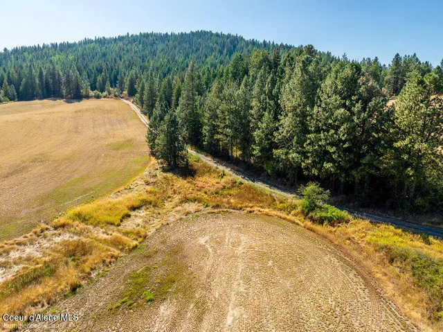 $599,000 | Nna Coldwater Lane, Desmet, ID 83824