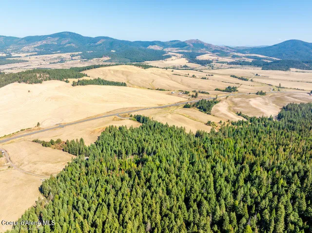 $599,000 | Nna Coldwater Lane, Desmet, ID 83824