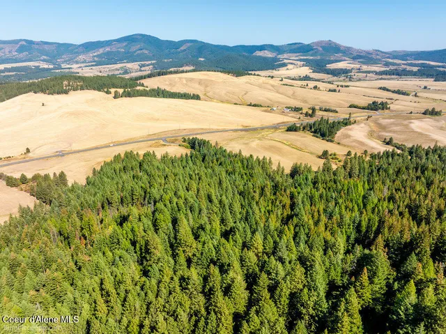 $599,000 | Nna Coldwater Lane, Desmet, ID 83824