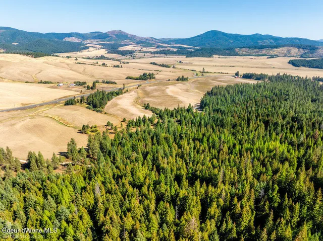 $599,000 | Nna Coldwater Lane, Desmet, ID 83824