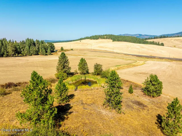 $599,000 | Nna Coldwater Lane, Desmet, ID 83824