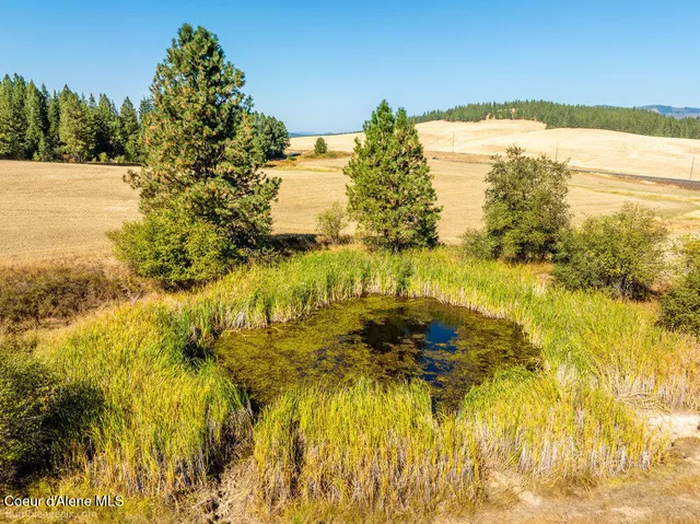 $599,000 | Nna Coldwater Lane, Desmet, ID 83824