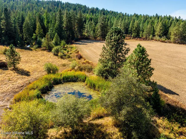 $599,000 | Nna Coldwater Lane, Desmet, ID 83824