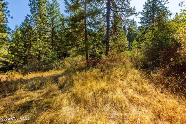 $599,000 | Nna Coldwater Lane, Desmet, ID 83824