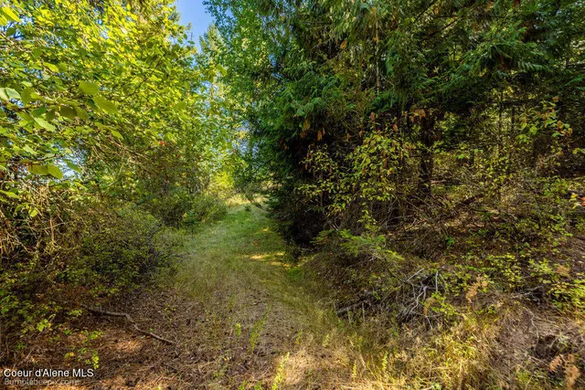 $599,000 | Nna Coldwater Lane, Desmet, ID 83824