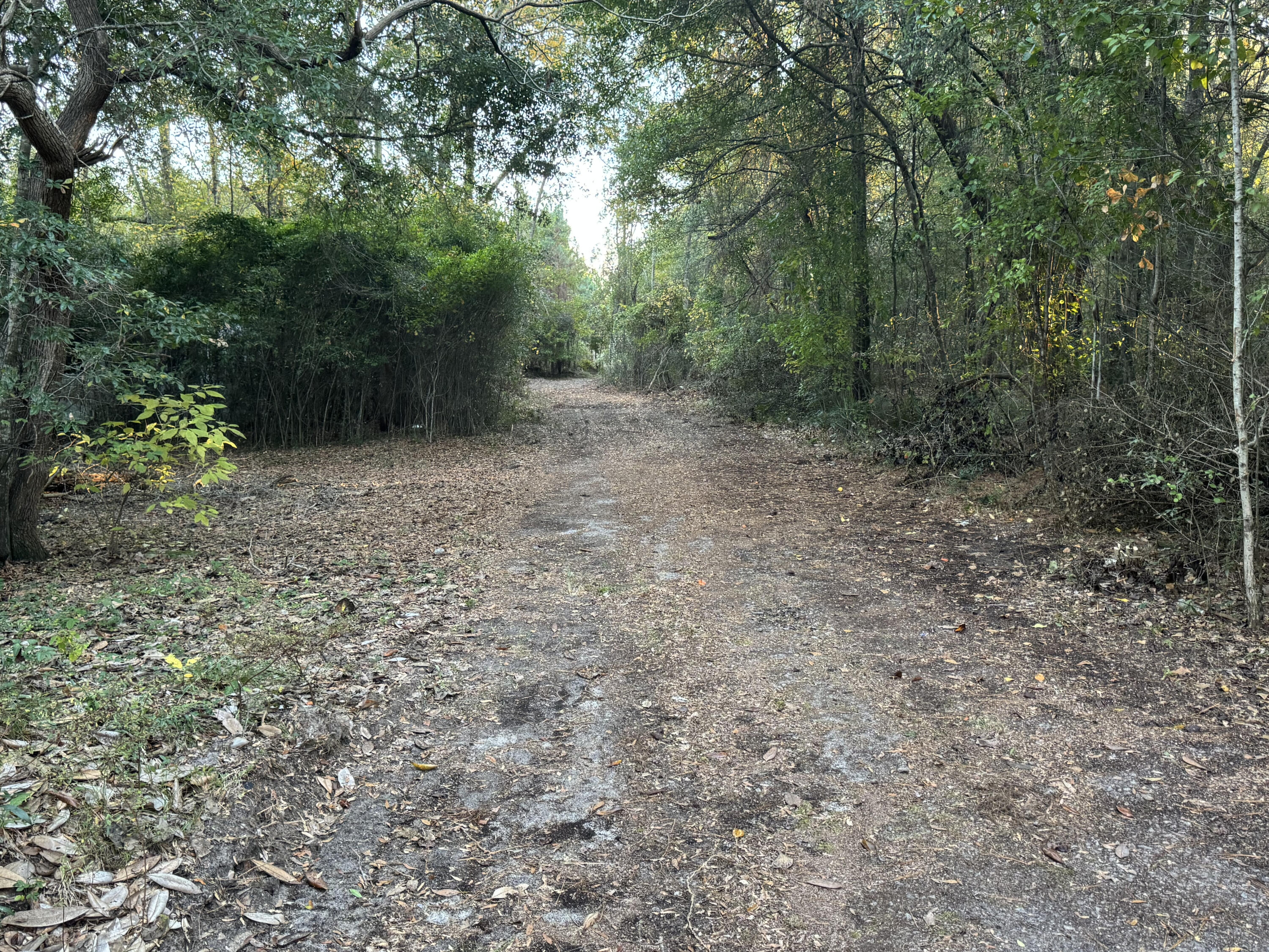 3 Festival Trail Road Salley, SC 29137 - Photo 4 of 13