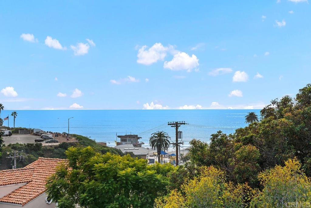 215 2nd Street, Unit 101 Encinitas, CA 92024 - Photo 34 of 47 a view of a room with lots of green space