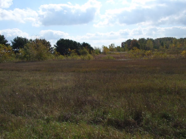 8000 East Broomfield Road Shepherd, MI 48883 - Photo 2 of 11 1865622-1.JPG
