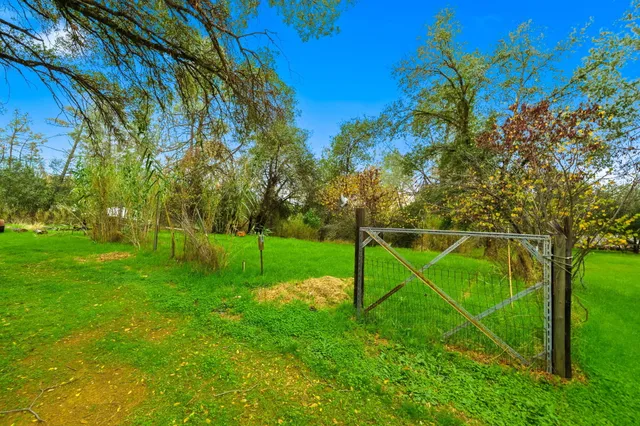 a yellow house with a small yard and large trees