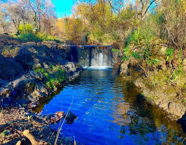 a view of backyard with wooden floor