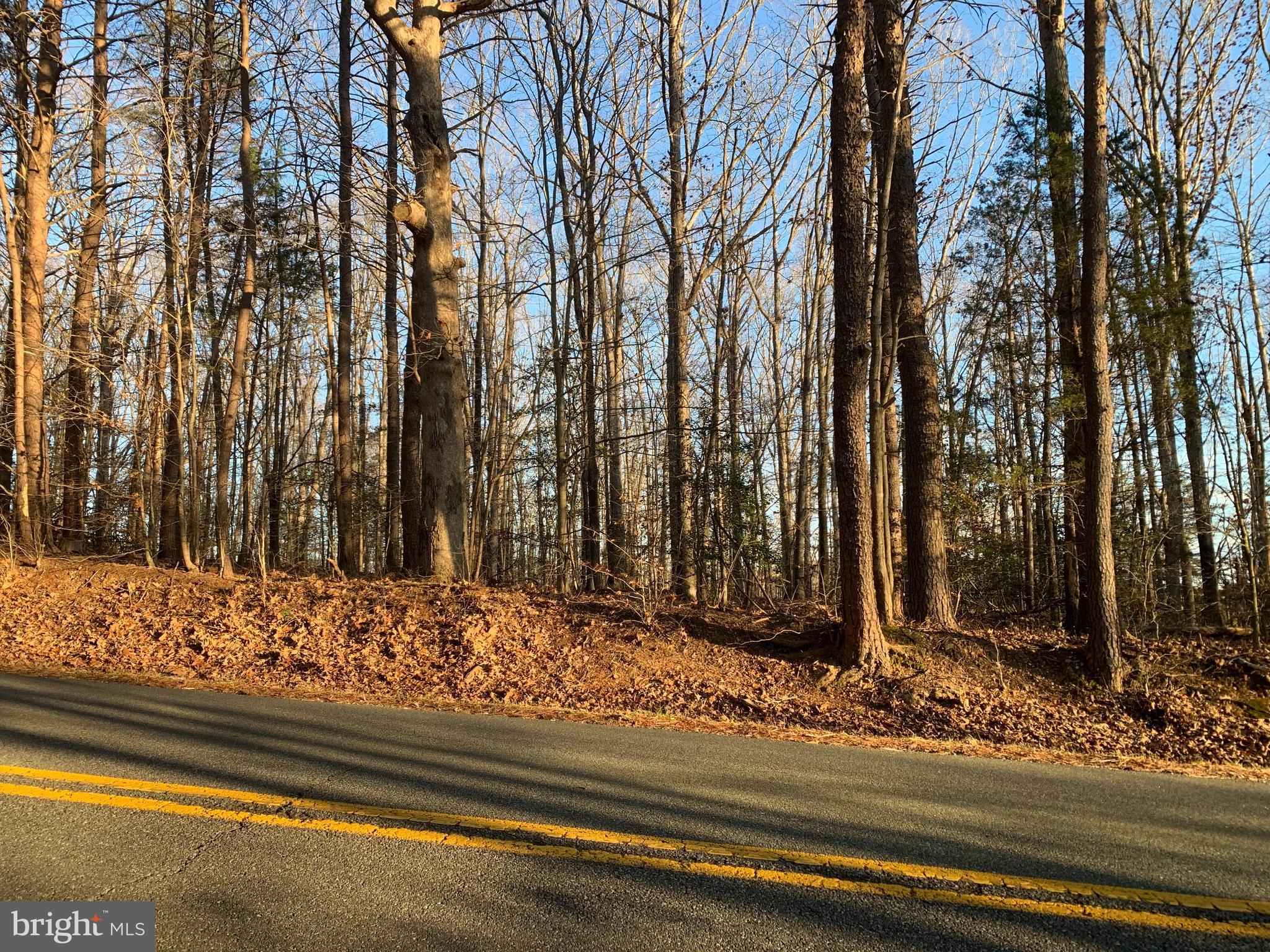 0 Anderson Mill Road Beaverdam, VA 23015 - Photo 2 of 12 Frontage View - Anderson Mill Rd