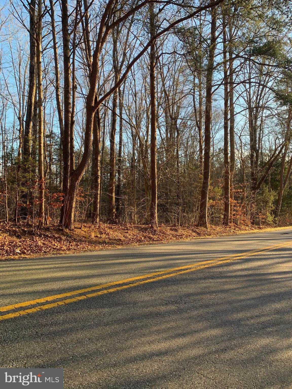 0 Anderson Mill Road Beaverdam, VA 23015 - Photo 3 of 12 Frontage View - Anderson Mill Rd