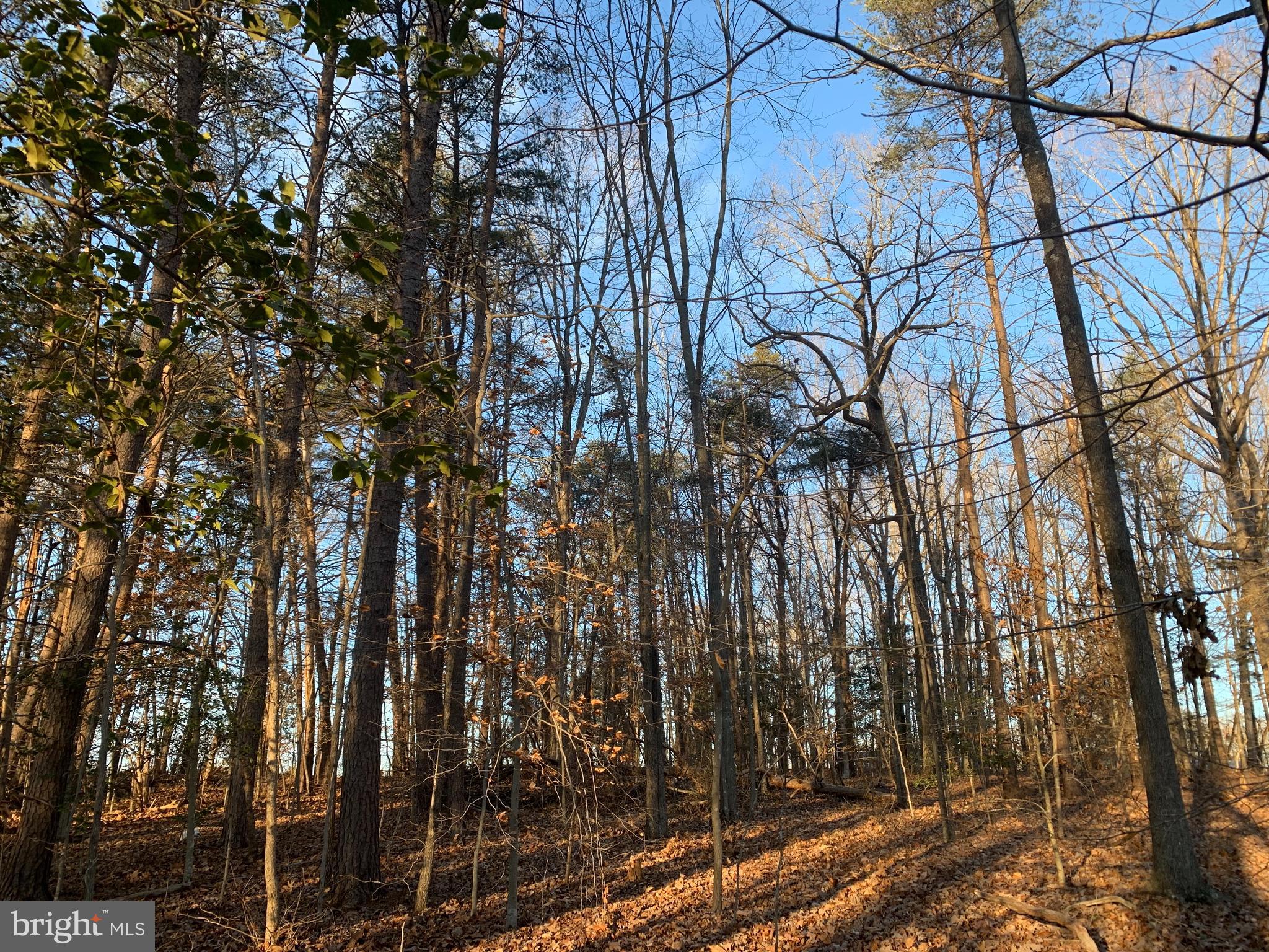 0 Anderson Mill Road Beaverdam, VA 23015 - Photo 7 of 12 Lot Slightly Slopes