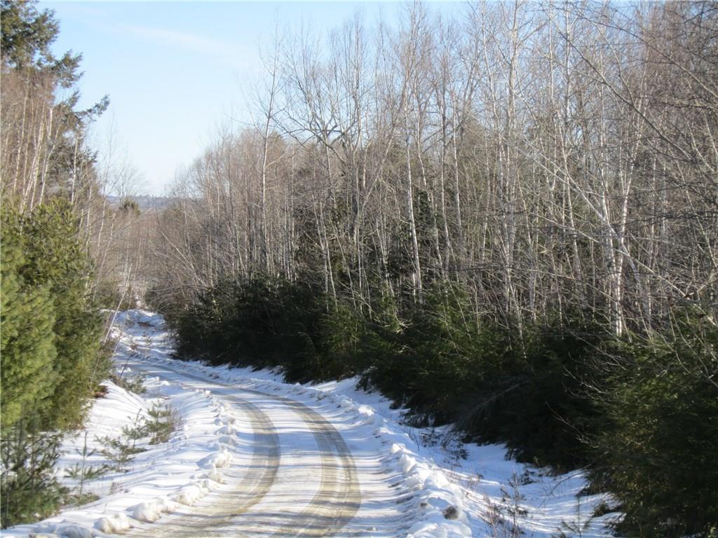 Lot 5-1 Jellison Meadow Road Ellsworth, ME 04605 - Photo 6 of 20 Looking East toward river