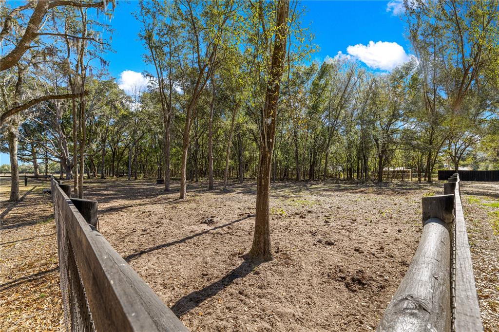 4120 Southwest 199th Court Dunnellon, FL 34431 - Photo 57 of 82 a view of a backyard with large trees