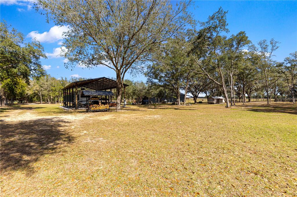 4120 Southwest 199th Court Dunnellon, FL 34431 - Photo 69 of 82 a house view with swimming pool in the back
