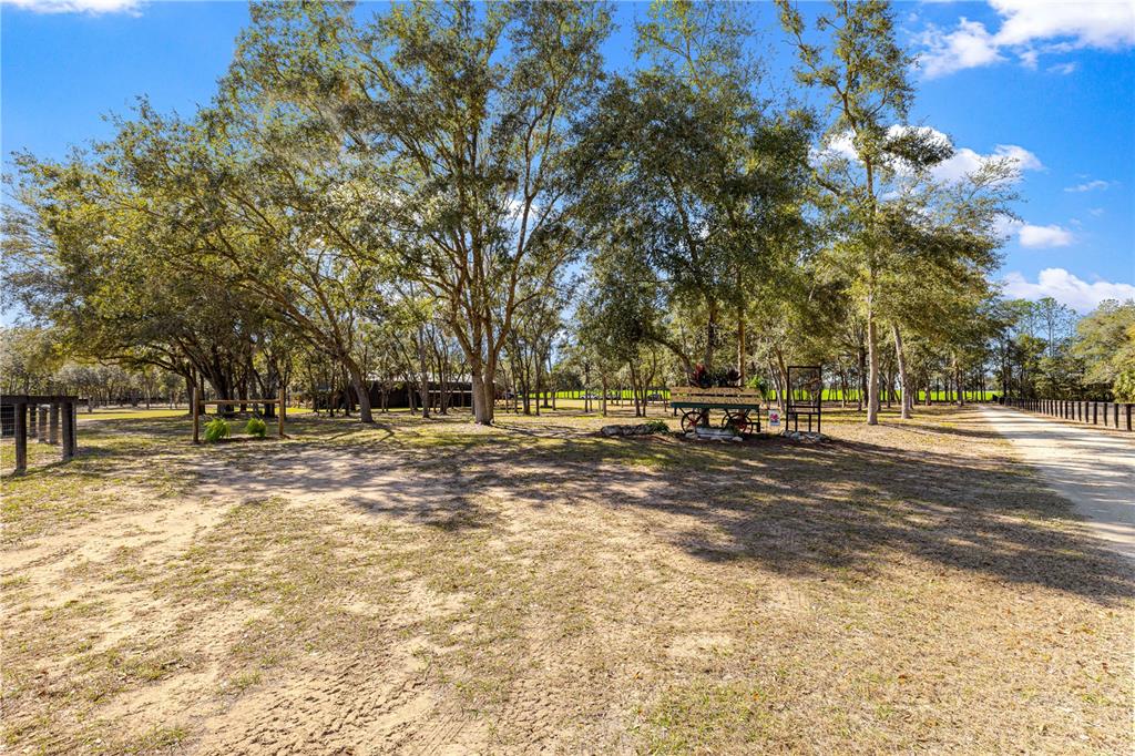 4120 Southwest 199th Court Dunnellon, FL 34431 - Photo 73 of 82 a view of park with large trees