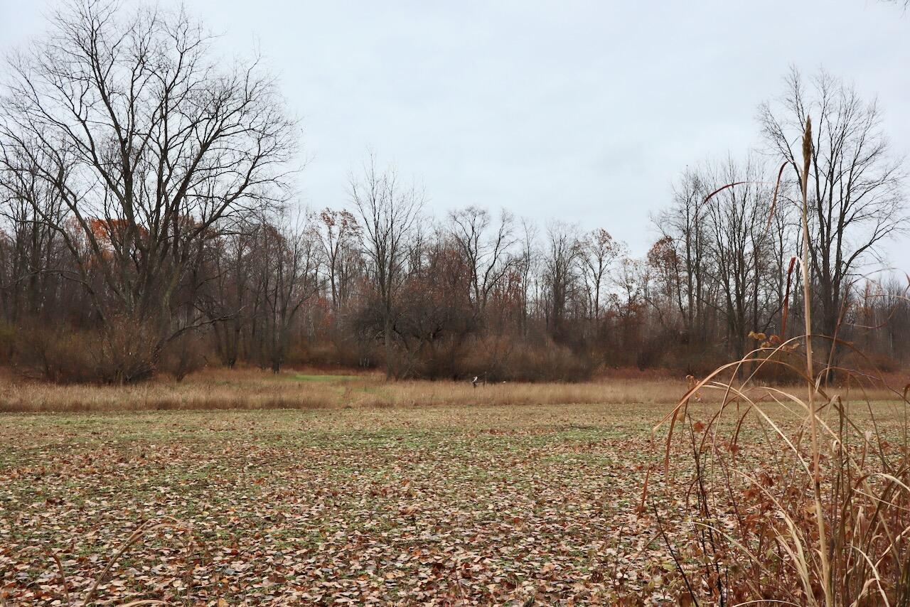 Hatton Road Farwell, MI 48622 - Photo 44 of 78 Gallery Image 44