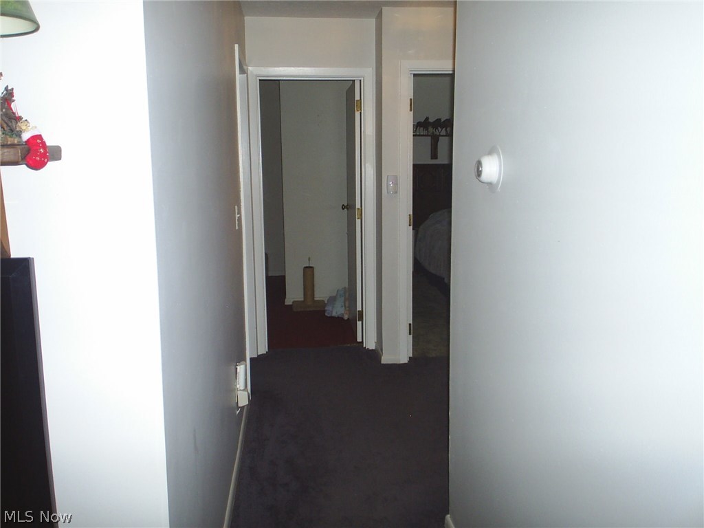 6320 Ledge Road Thompson, OH 44086 - Photo 6 of 28