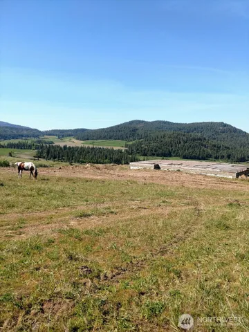 a view of a lake with houses in the back