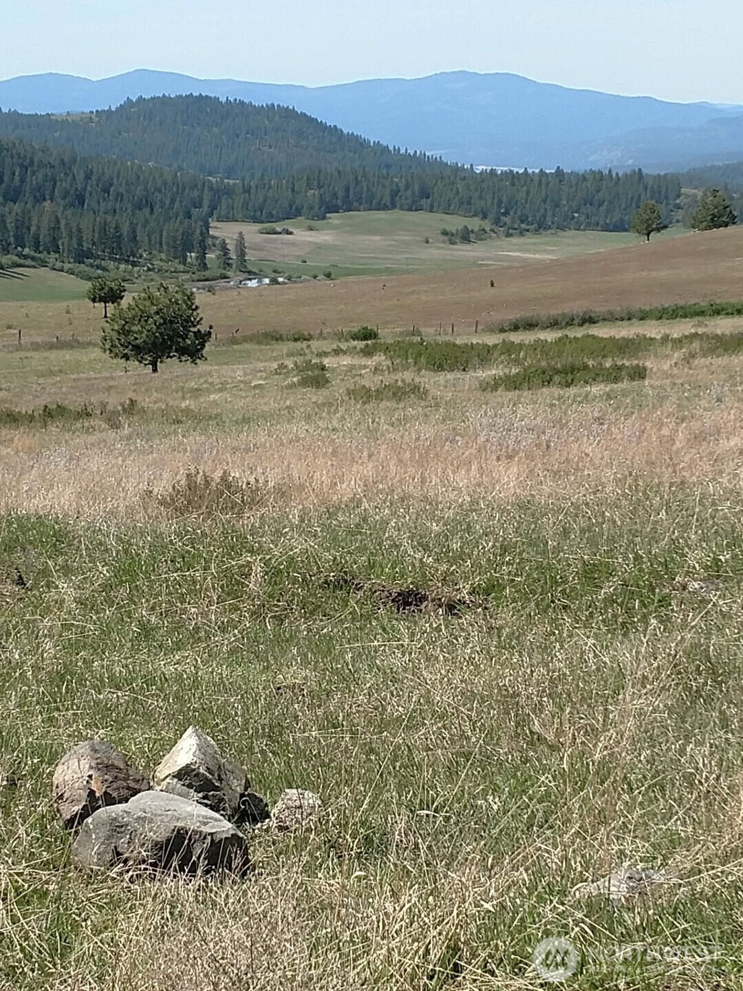 5787 B Fruitland Valley Road Fruitland, WA 99129 - Photo 14 of 14 a view of lake with mountain