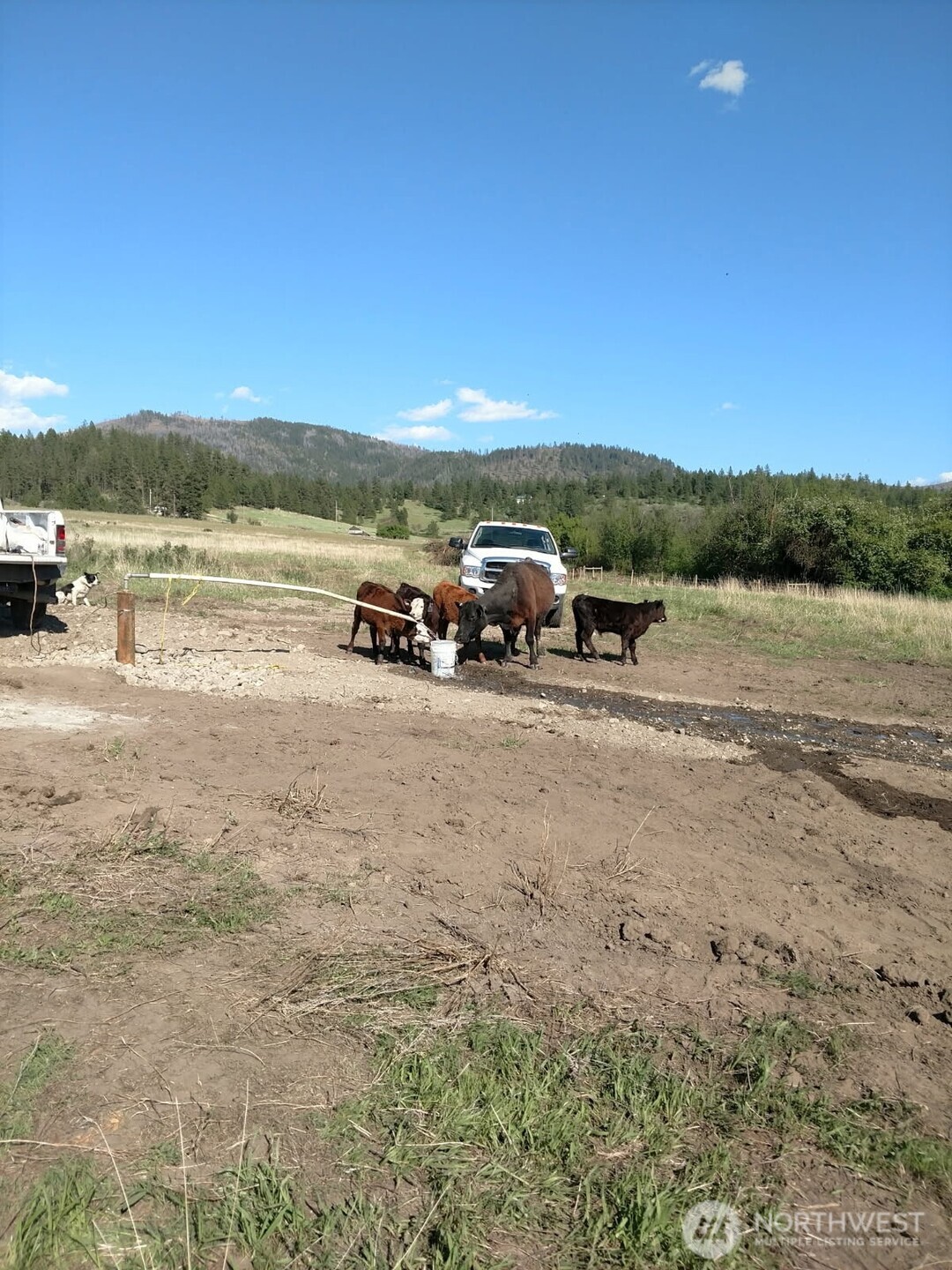 5787 B Fruitland Valley Road Fruitland, WA 99129 - Photo 8 of 14 a view of lake with mountain view