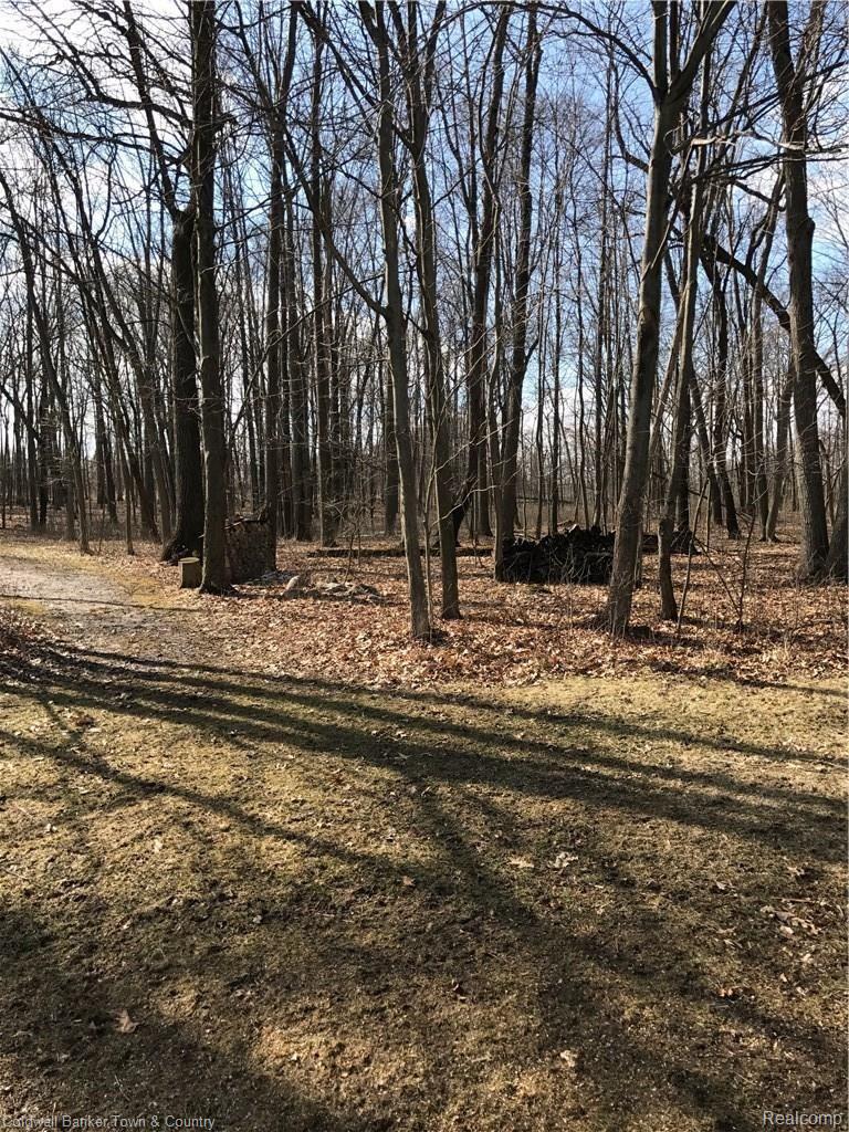 467 Gulley Road Howell, MI 48843 - Photo 32 of 42 D824A300-965D-4A09-93AA-5B75300FF987.JPG