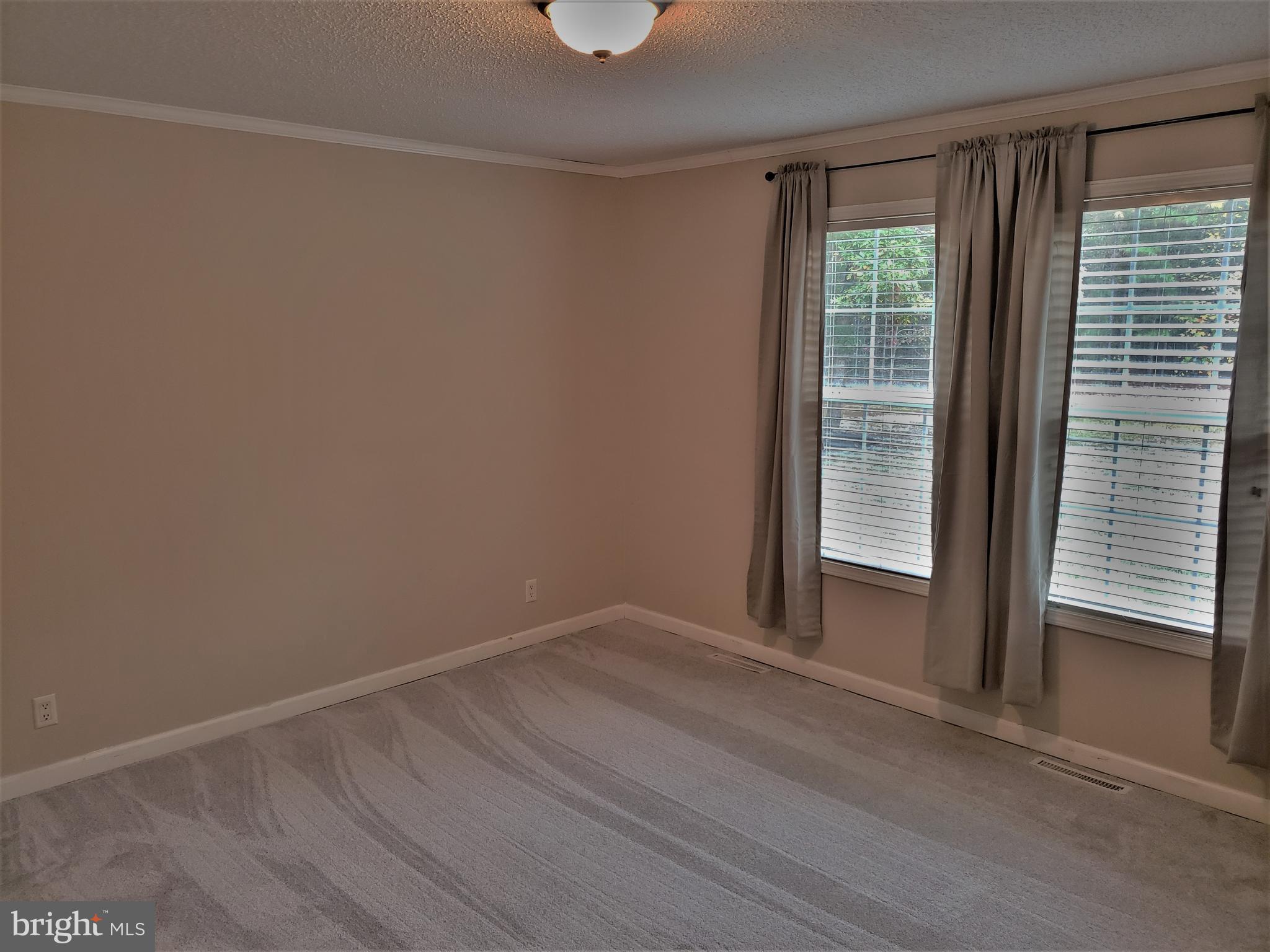 7515 Tate Road Ruther Glen, VA 22546 - Photo 16 of 28 Spacious primary bedroom. With new carpet and