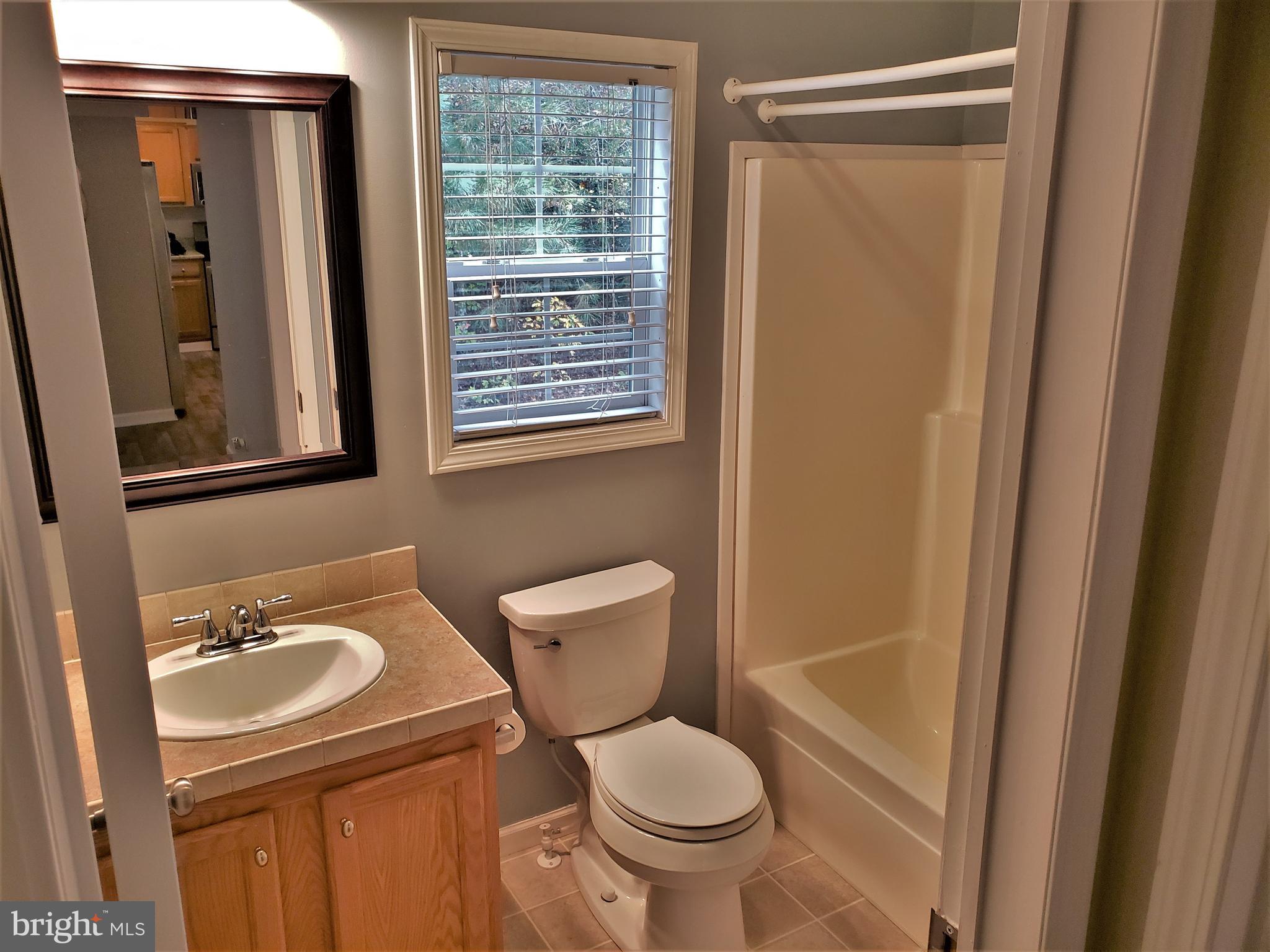 7515 Tate Road Ruther Glen, VA 22546 - Photo 21 of 28 Hall bathroom