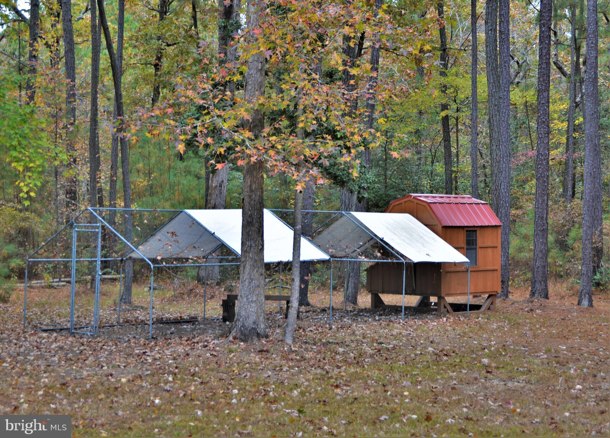 7515 Tate Road Ruther Glen, VA 22546 - Photo 26 of 28 Gallery Image 26