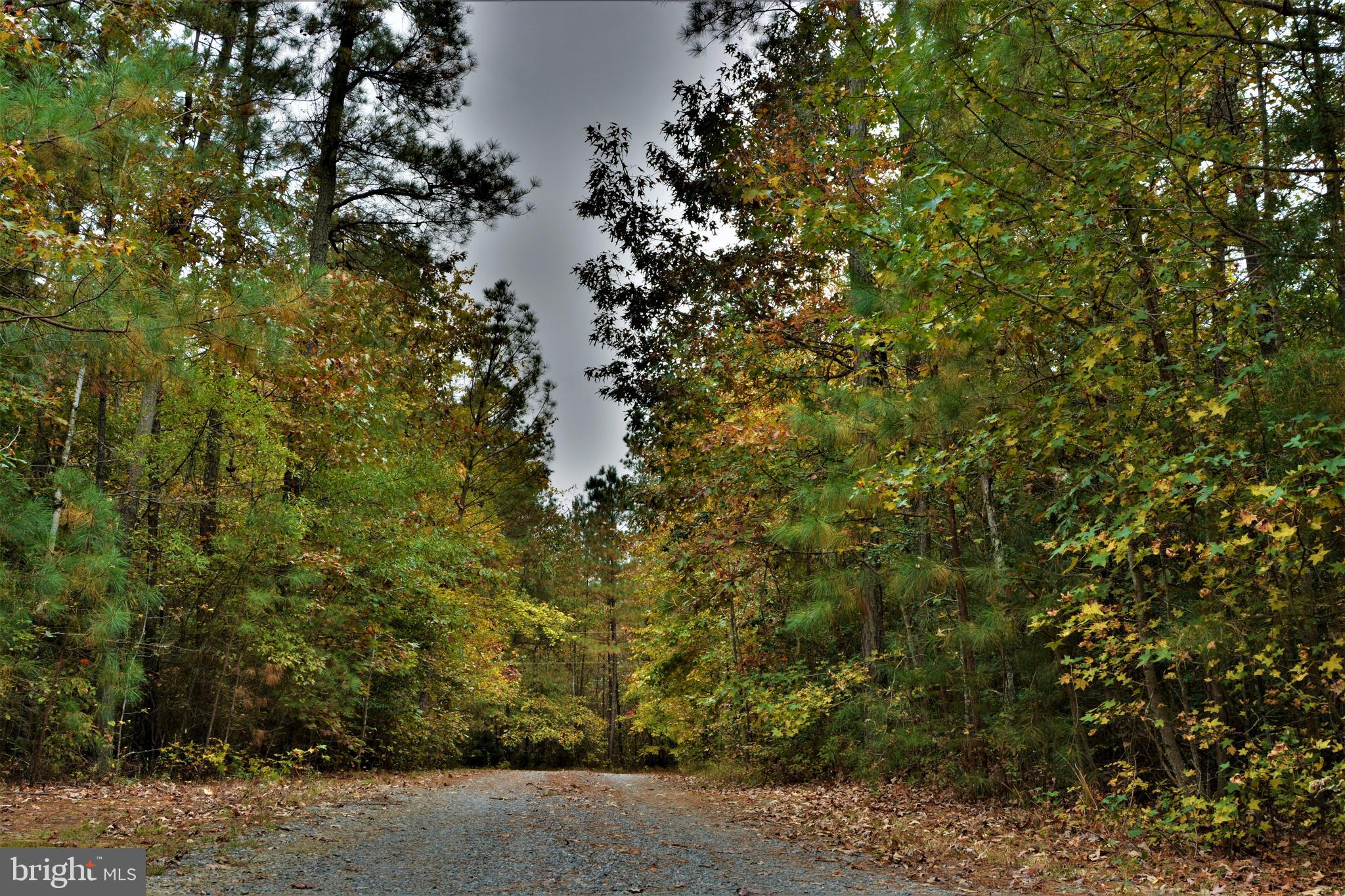7515 Tate Road Ruther Glen, VA 22546 - Photo 3 of 28 Imagine driving to your move-in ready home