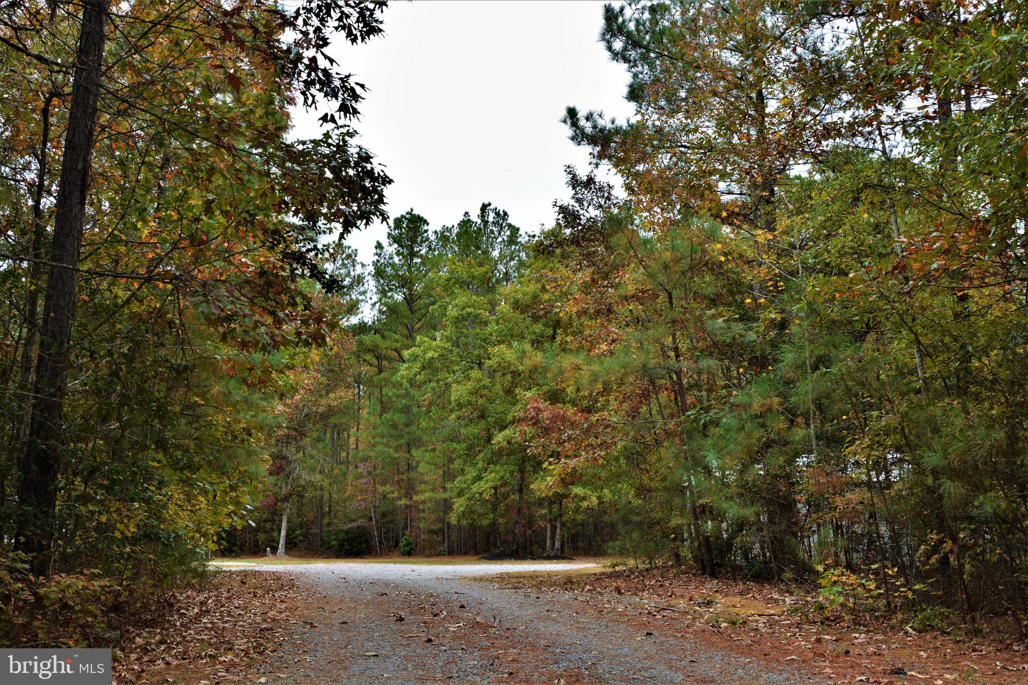 7515 Tate Road Ruther Glen, VA 22546 - Photo 4 of 28 Your dream home awaits!