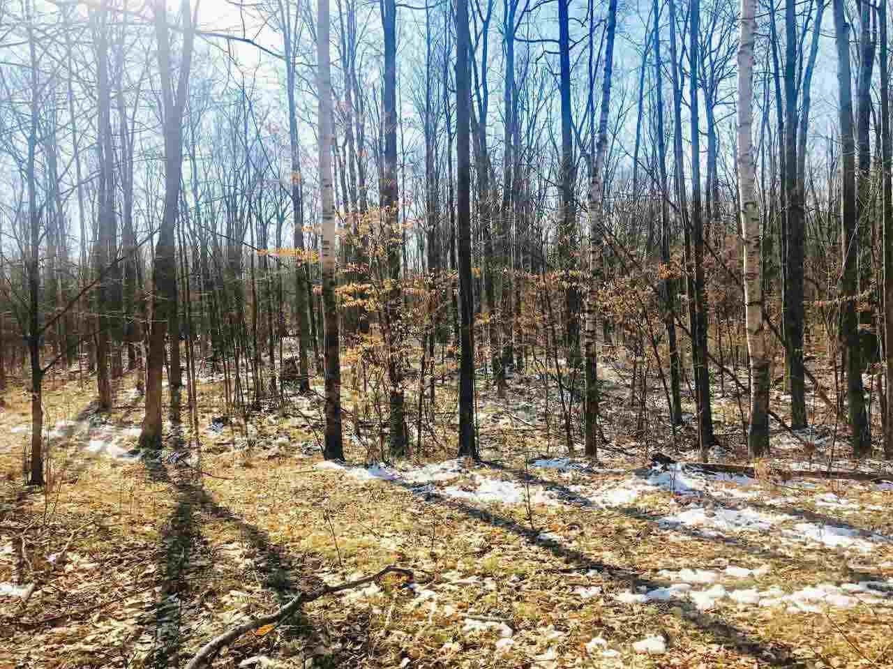 0 North Stark Road Hope, MI 48628 - Photo 20 of 89