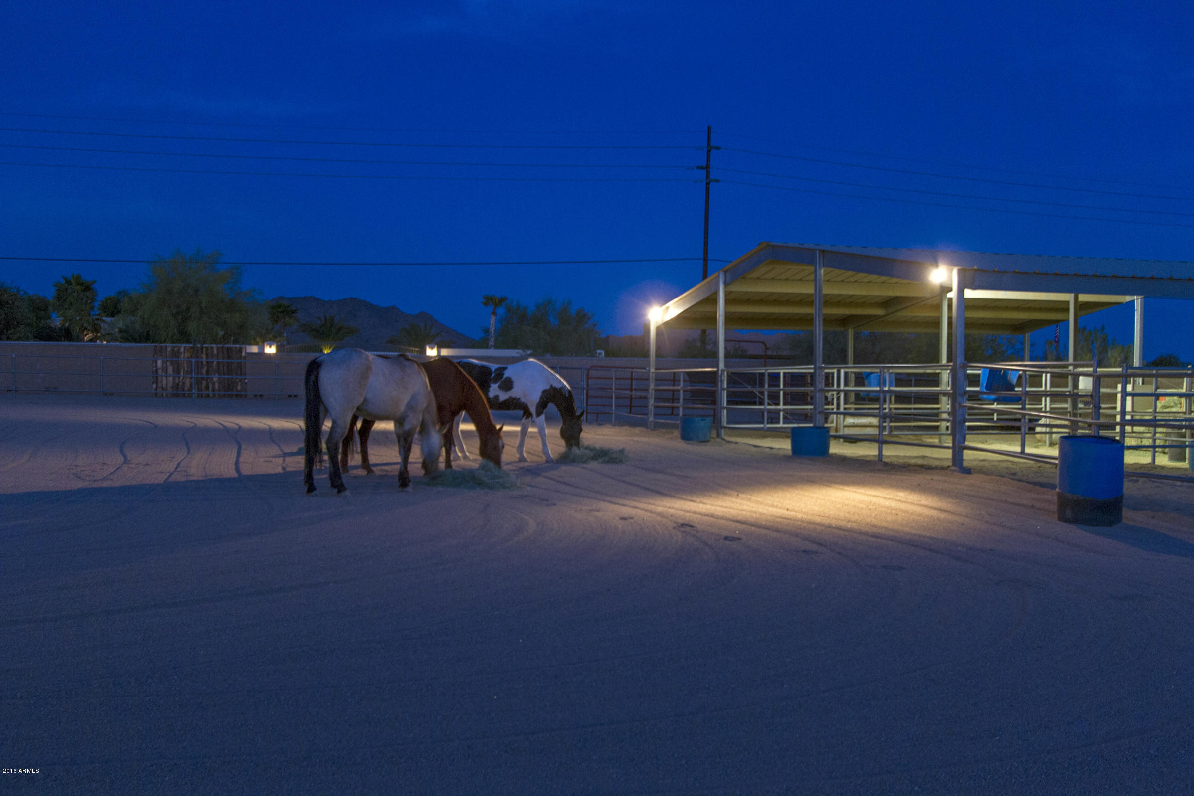 2347 East Carlise Road Phoenix, AZ 85086 - Photo 45 of 53 HorseCorral_2751