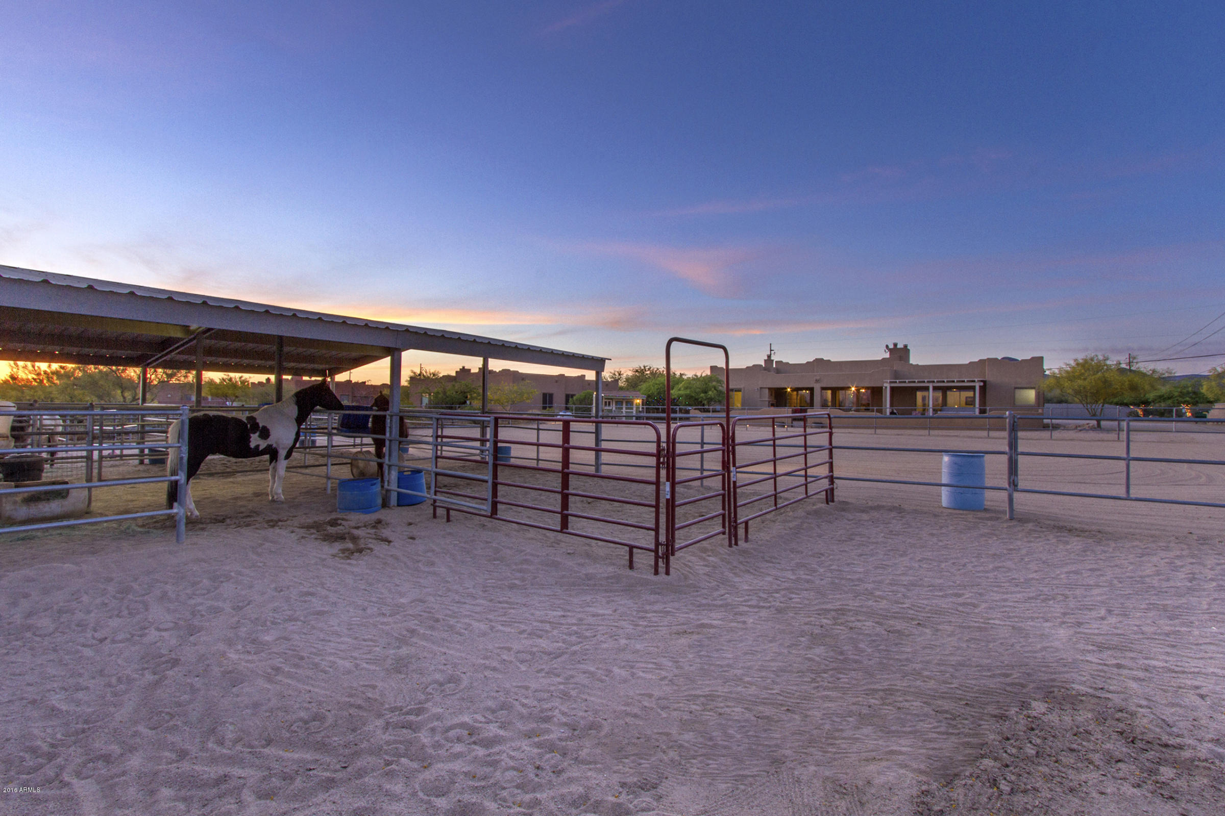 2347 East Carlise Road Phoenix, AZ 85086 - Photo 48 of 53 Stables_2656