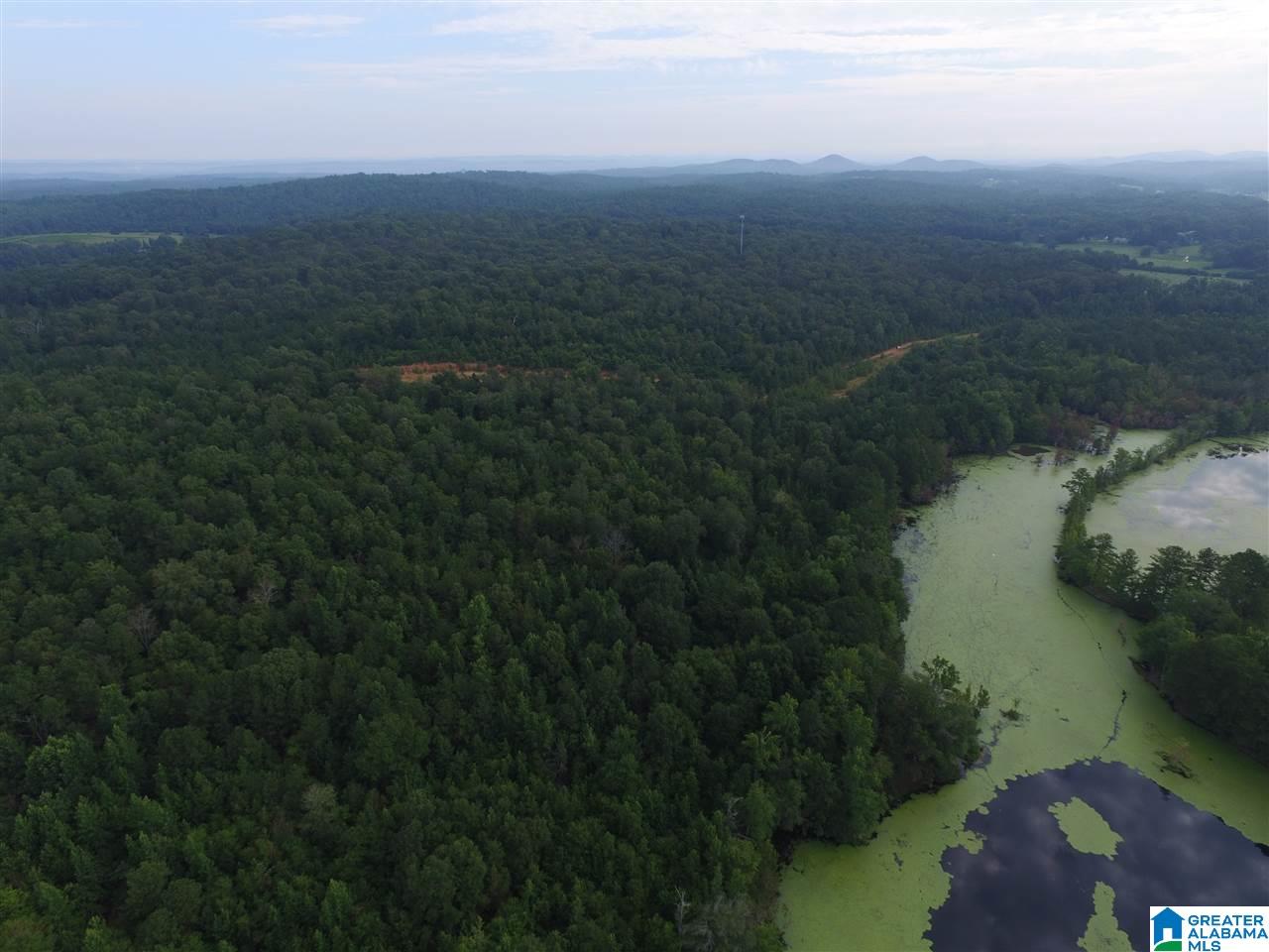 0 Morris Farms Drive Riverside, AL 35135 - Photo 10 of 18