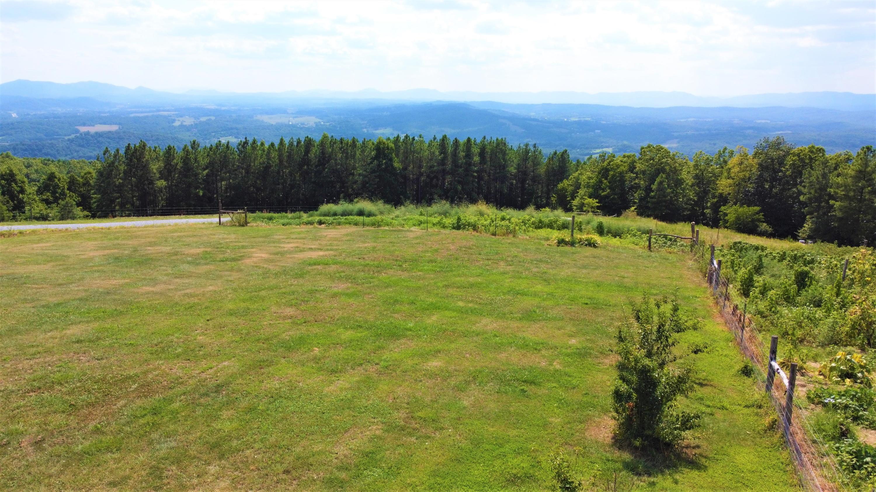 688 Blain Road Buchanan, VA 24066 - Photo 41 of 45 Garden2