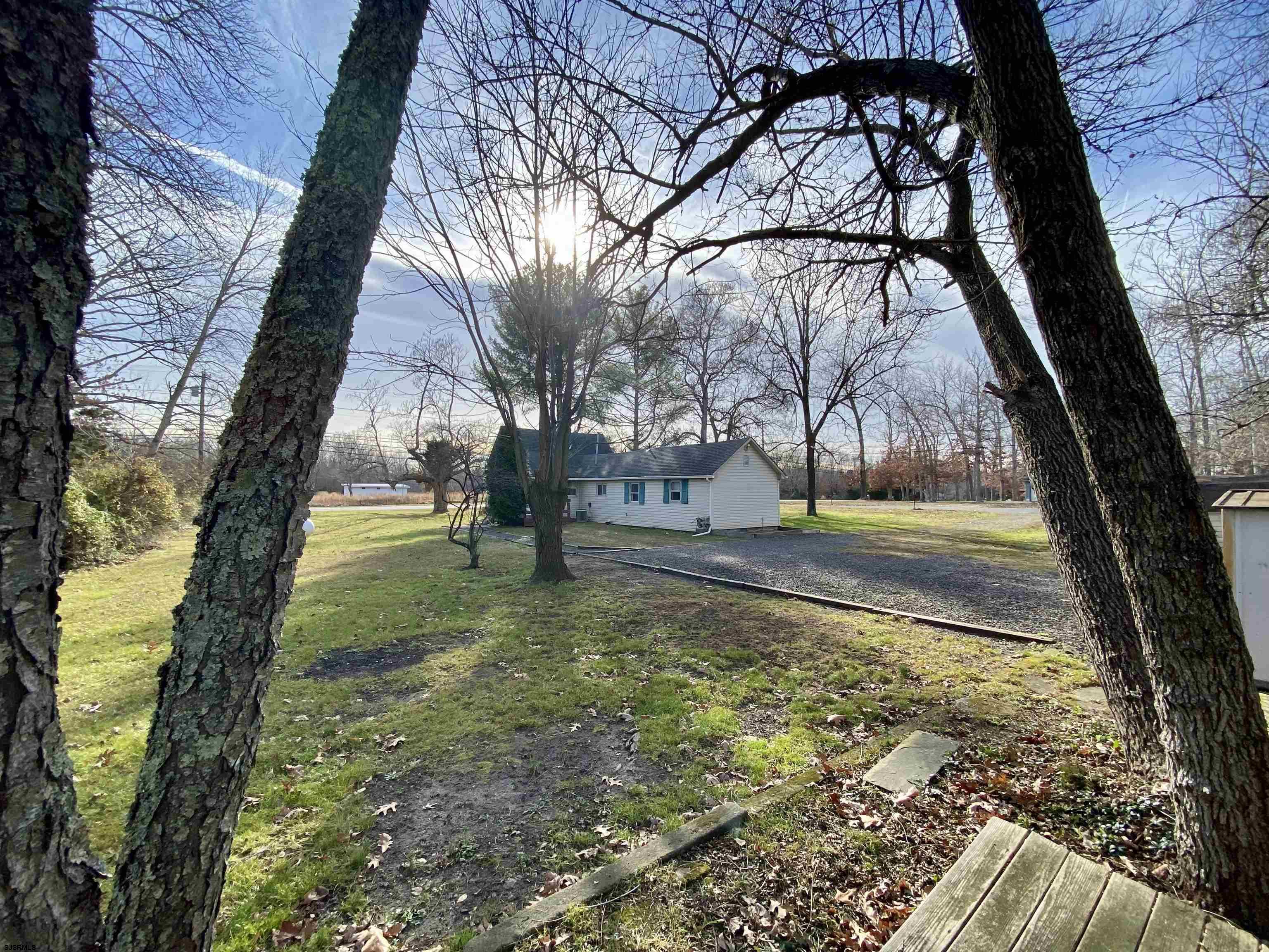 201 Broad Street Milmay, NJ 08340 - Photo 21 of 23 a view of yard with tree in front