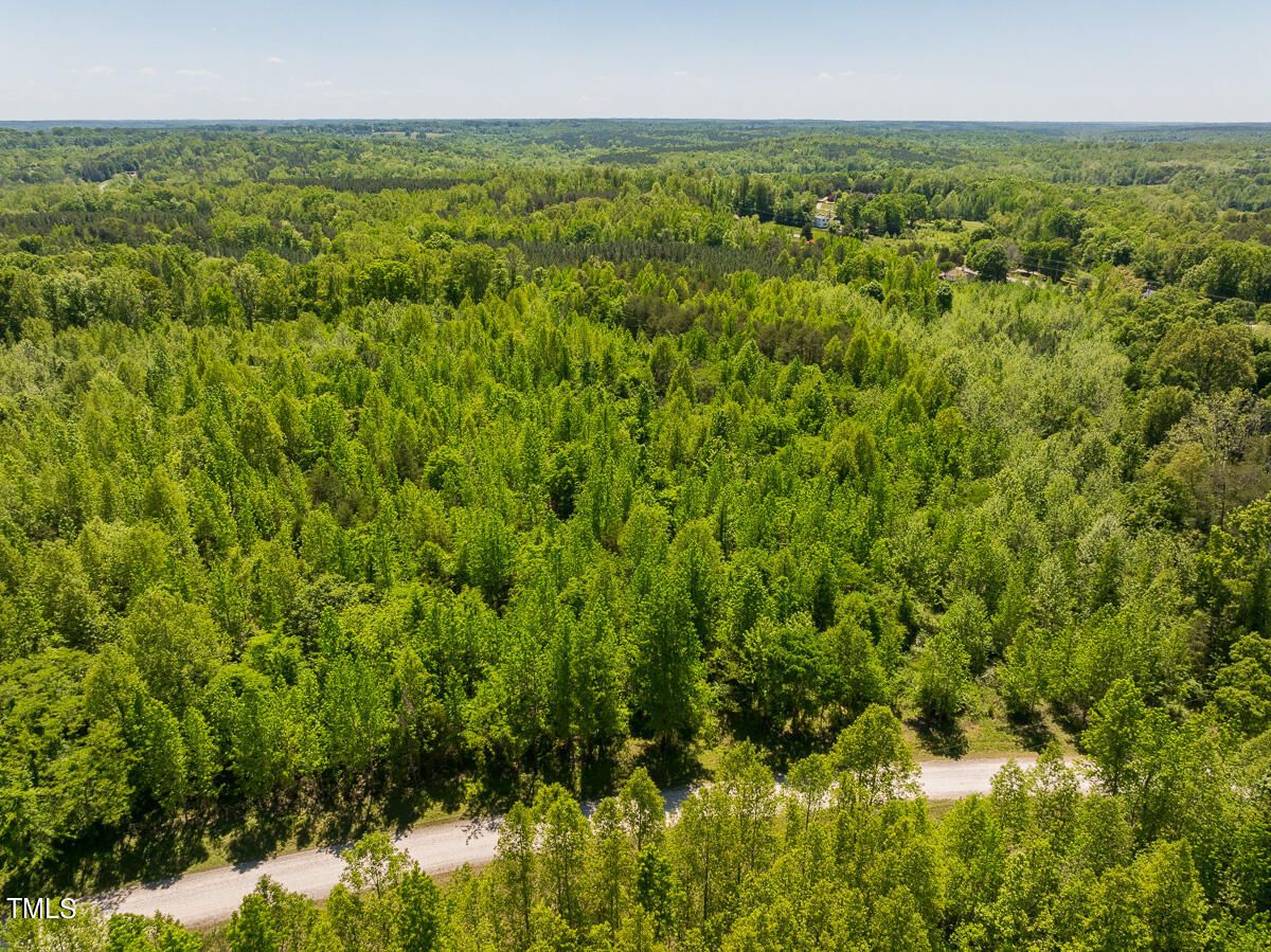 Lot-2-00 Wilson Road Providence, NC 27315 - Photo 11 of 39 Caswell Co. NC -Wilsons Ridge-Lot 2-11