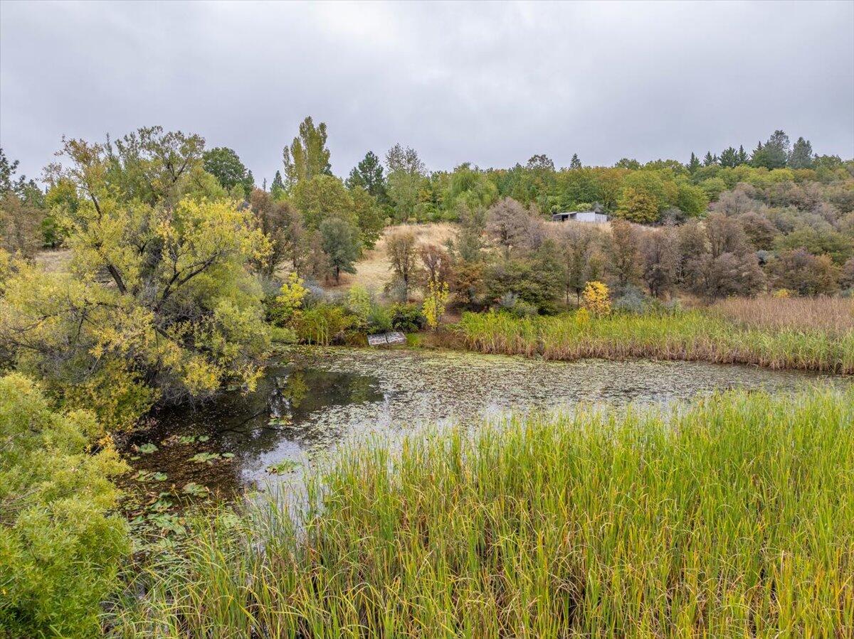 30153 Frisby Road Oak Run, CA 96069 - Photo 50 of 56 a view of a lake with houses in the background