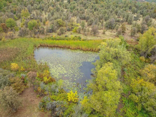 $470,000 | 30153 Frisby Road, Oak Run, CA 96069