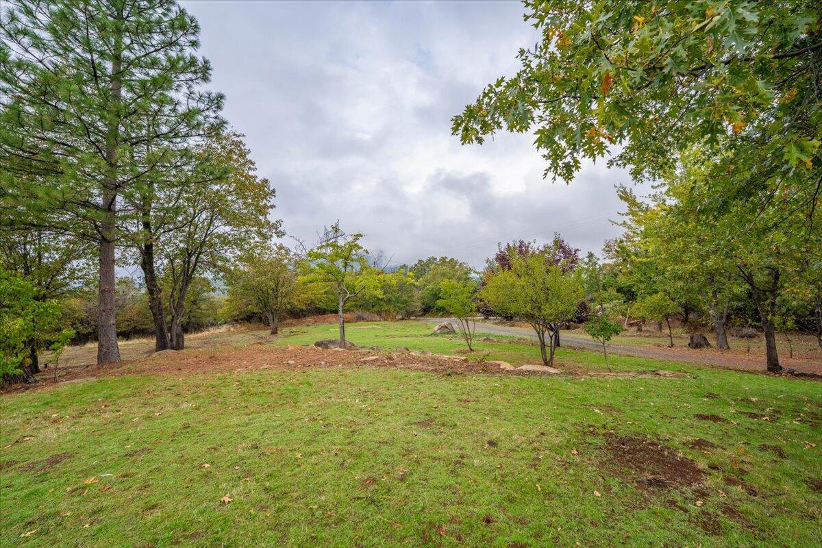 30153 Frisby Road Oak Run, CA 96069 - Photo 8 of 56 36-30153 Frisby Rd - E-6