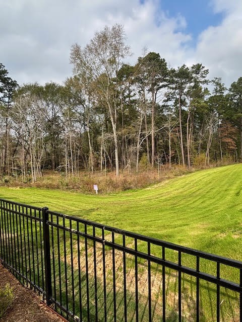 14910 Slough View Court Magnolia, TX 77354 - Photo 3 of 37 a view of swimming pool from a outdoor space