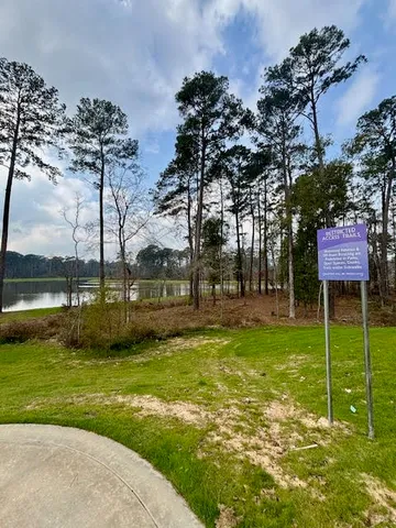 a view of a park with large trees