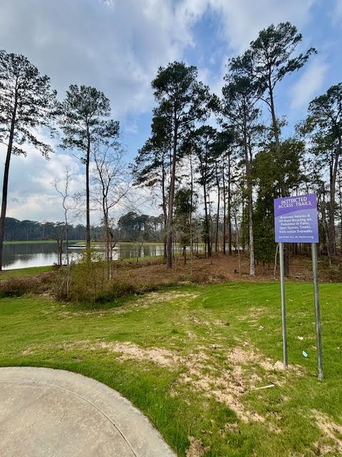 14910 Slough View Court Magnolia, TX 77354 - Photo 31 of 37 a view of a park with large trees