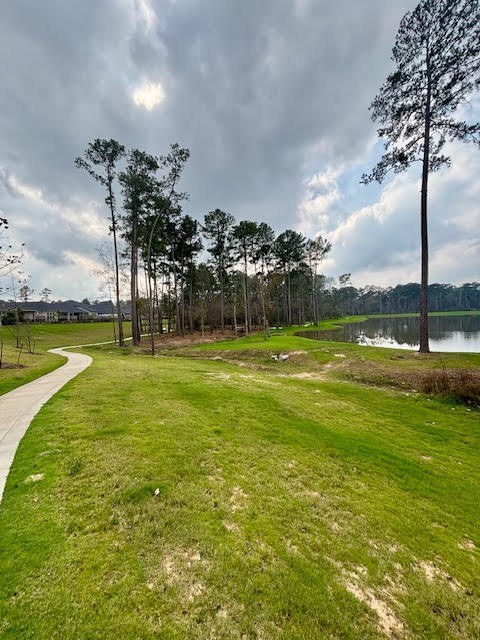 14910 Slough View Court Magnolia, TX 77354 - Photo 32 of 37 a view of a swimming pool and a yard