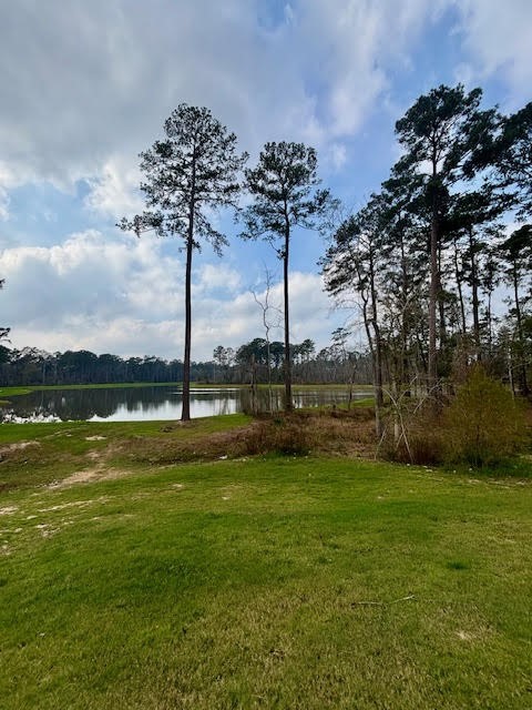 14910 Slough View Court Magnolia, TX 77354 - Photo 33 of 37 a view of a garden