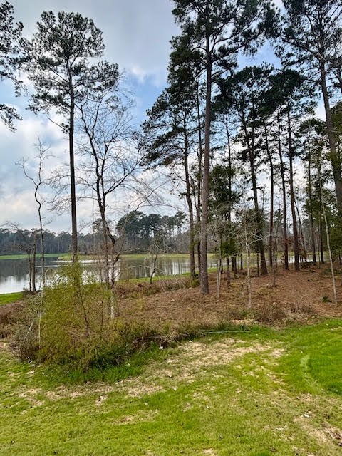 14910 Slough View Court Magnolia, TX 77354 - Photo 36 of 37 a view of a lake view